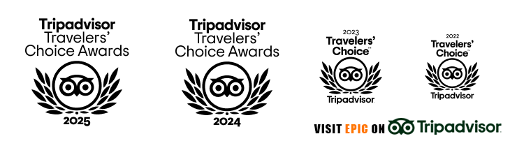 tripadvisor badge